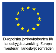 Europeiska Unionen