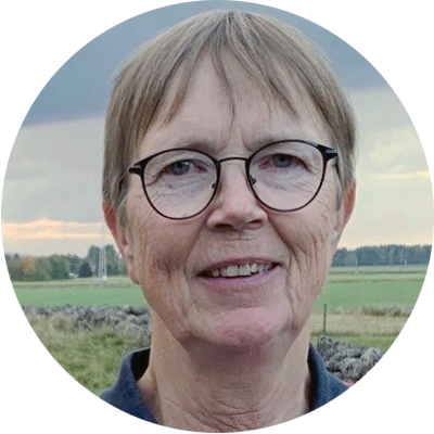 Ingela Eriksson, Skövdebygdens fibersamverkan